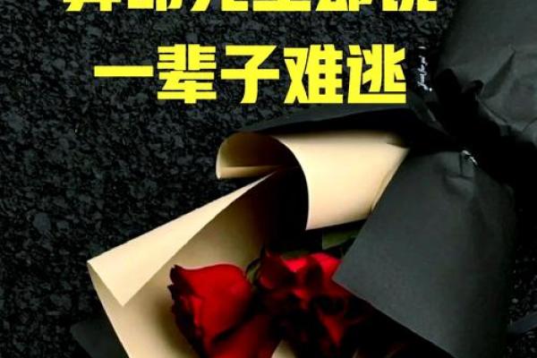 命中注定：算命先生无法解读的命运奥秘