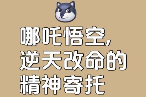 “赛命”解析：探寻生活中掌控命运的秘诀与挑战