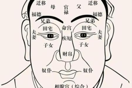 男命女命的命宫解析：揭示命运背后的秘密与智慧