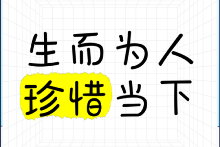 命之珍贵：活出生命的意义，享受每一天的精彩