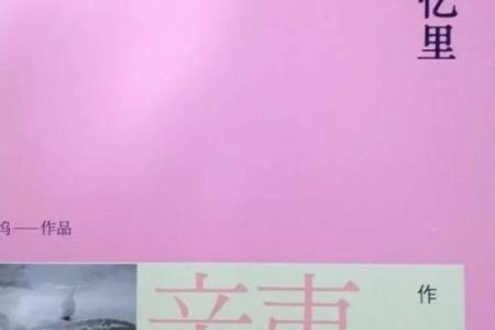 拼了命想起你：爱与回忆交织的旋律故事