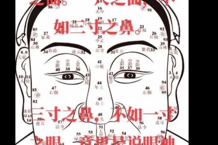 女命八字宫位解析：探寻命运的神秘密码