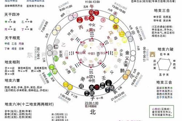 属相年份命理对照表:揭示你命运的奥秘与启示 属相年份命理对照表:揭示你命运的奥秘与启示