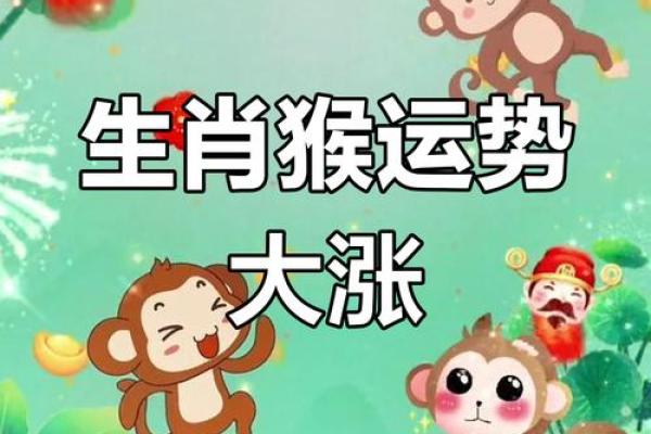 属猴马烈如日中，成就辉煌人生的秘密