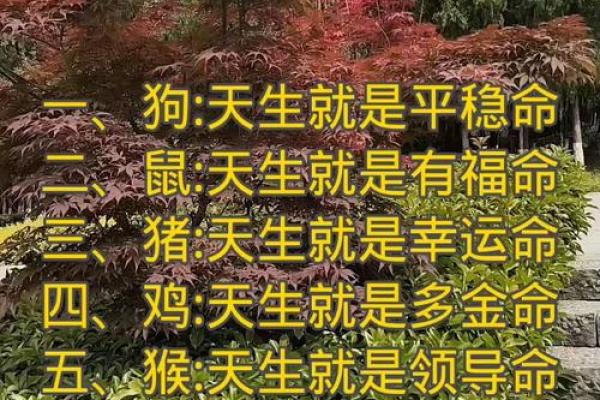 解密命运：如何运用“想什么来什么”的命格智慧