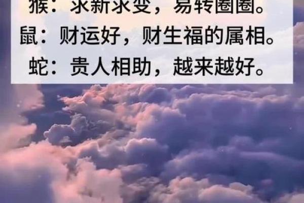 解密生肖：那些一生劳碌却依然坚韧的人们