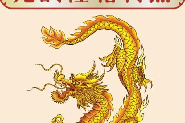 属龙金命适合做的生意以及成功秘诀探讨 属龙金命适合做的生意以及成功秘诀探讨