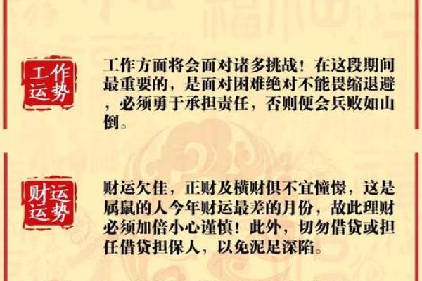 农历五月鼠年命理：解读与启示