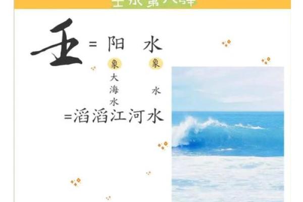 壬水命的女性:适合与命理结合的最佳选择与发展之路 壬水命的女性:适合与命理结合的最佳选择与发展之路