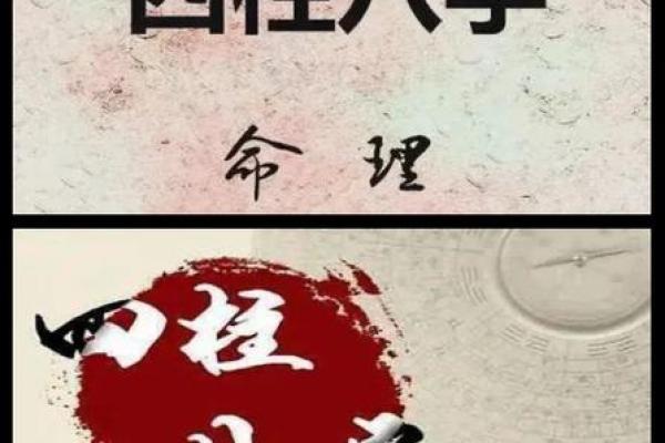 揭秘八字命格:黑白两道的神秘世界与命运解析 揭秘八字命格:黑白两道的神秘世界与命运解析
