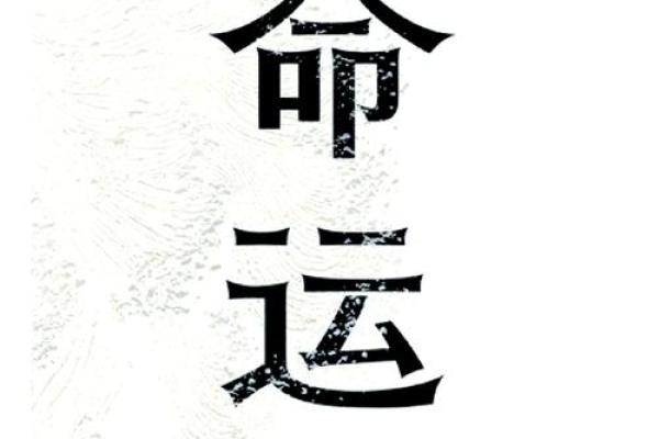 命运之路：属羊男的土命特质与人生启示