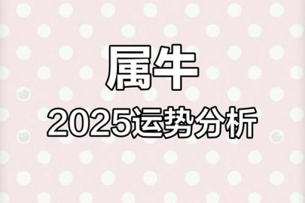 属牛寅时出生的女孩命格解析：性格、运势与人生机遇