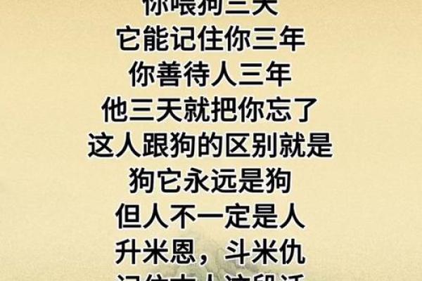 属狗男虎夜行:探索他的命运篇章与人生智慧 属狗男虎夜行:探索他的命运篇章与人生智慧