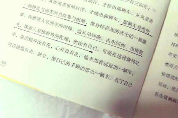 女命尼姑命的深刻解析与人生启示