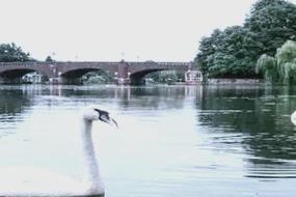 十月初一的命理解析：揭开出生在这个时节的神秘面纱