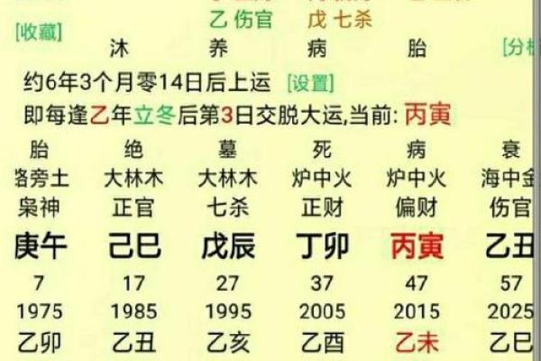 壬水命的八字格局解析：寻找命运的流动与平衡