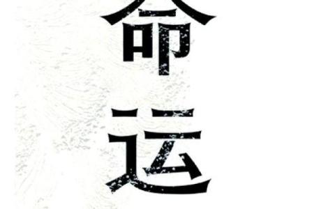 命运之路：属羊男的土命特质与人生启示