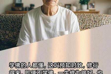 人到老年，何为命好？体悟人生真谛的智慧之旅