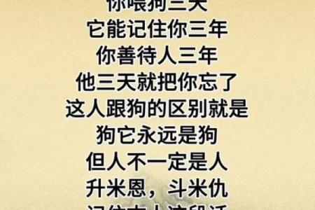 属狗男虎夜行：探索他的命运篇章与人生智慧