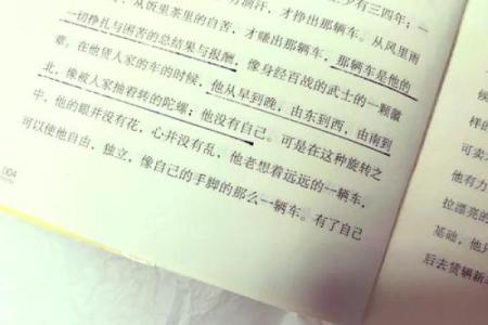 女命尼姑命的深刻解析与人生启示
