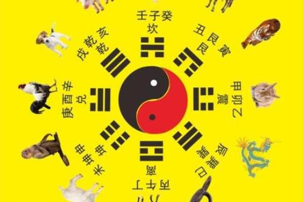 壬寅年命格解析：属于那些生肖的命理揭秘与人生走向
