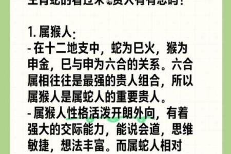 属蛇与属鸡命运解析：性格碰撞与命理契合之道