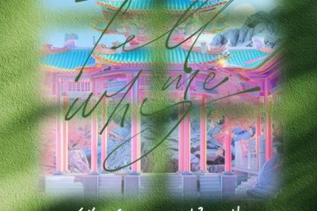 拿命换你的无能：当选择变成负担的时刻