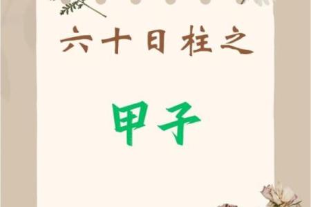 深析壬辰日柱：女命中的智慧与魅力之源