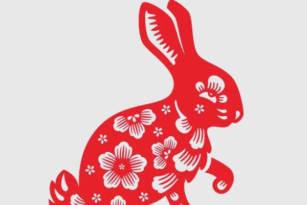 属兔女的命运为何常常多坎坷？解读兔女的命理玄机