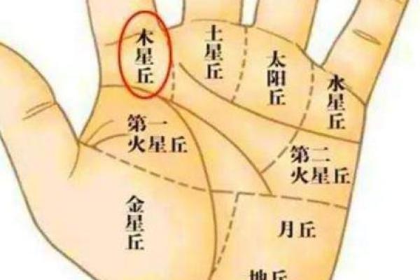 如何判断木命缺失的元素，提升你的命理运势