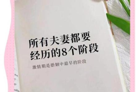 深入了解：根据命理学的婚配表助你寻找幸福婚姻之路