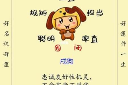 属狗男士的命运解析：智慧与忠诚的结合之路