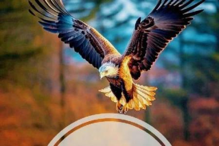 命由我不由天：掌控人生，重塑自我