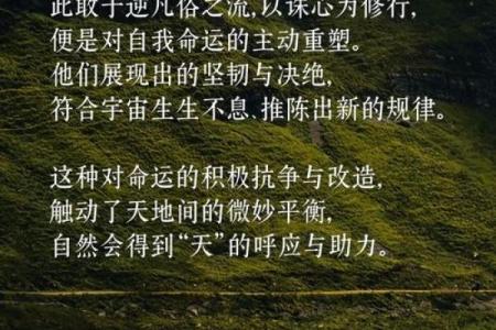 侍下与命下：探索内心指引与外在命运的微妙关系