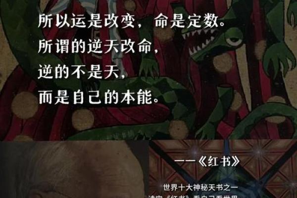 破日出生的女命：冲克与命运的深层探讨