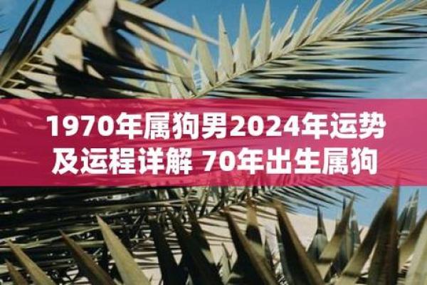 属狗的9月出生:命理与性格的深度解析 属狗的9月出生:命理与性格的深度解析