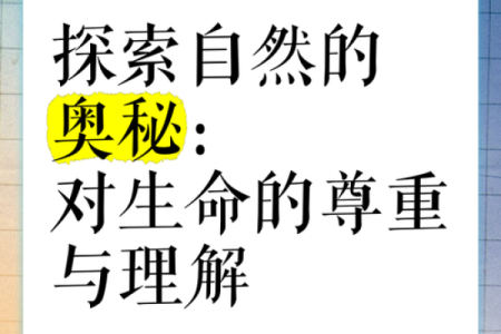 每个生命都值得尊重——探讨人与人之间的平等与理解