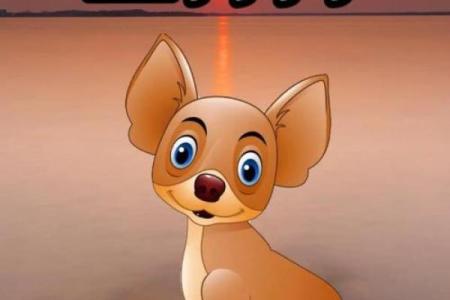 属狗的9月出生：命理与性格的深度解析