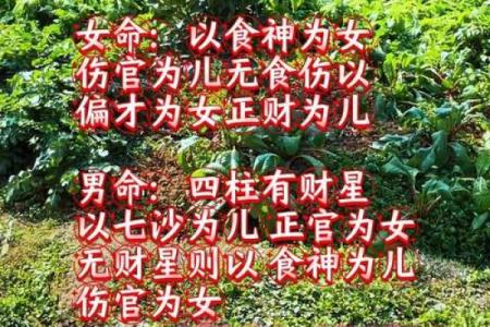 女命正官在财库中：财富与人生的深度解读