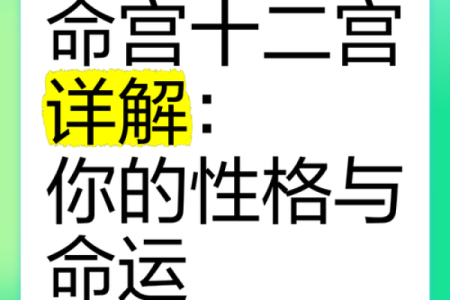揭开星宿之谜：本命宫与命主星如何影响你的命运？
