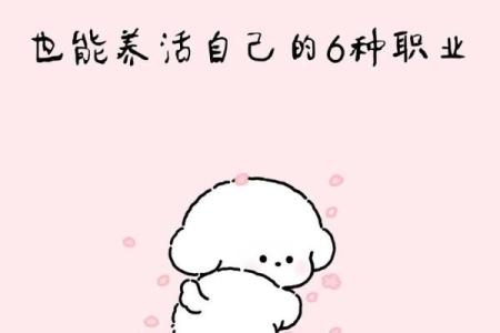 适合女生的土豪职业选择：实现财富与梦想的完美结合