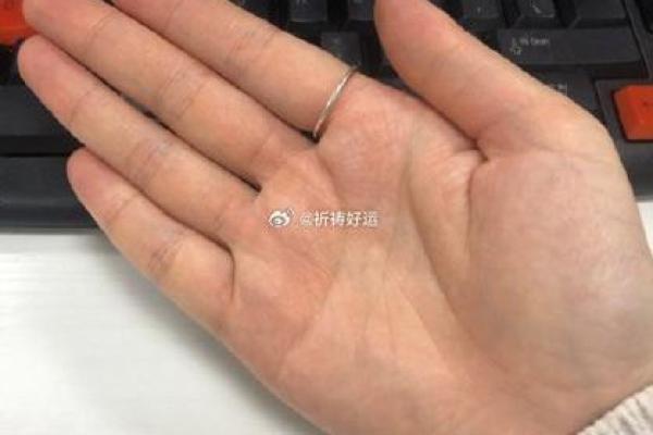 手指头肉多饱满,揭示你的命运密码! 手指头肉多饱满,揭示你的命运密码!