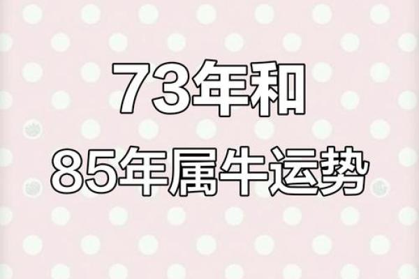 属牛1985年命运解析：努力与坚持的象征