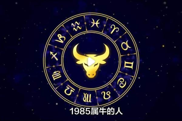 属牛1985年命运解析：努力与坚持的象征