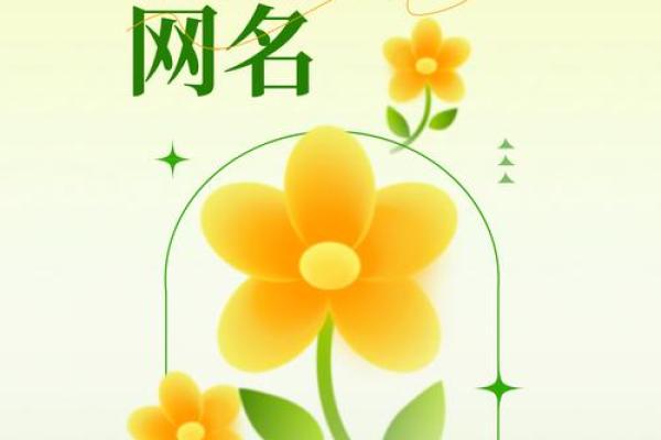 解码女命秀气：如何理解其中的深层含义与象征