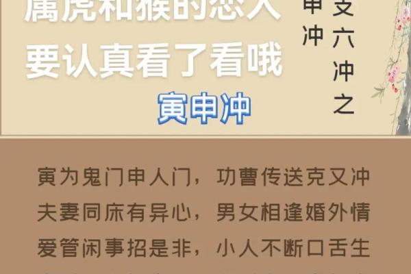 如何为木猴命的人选择一个合适的名字？