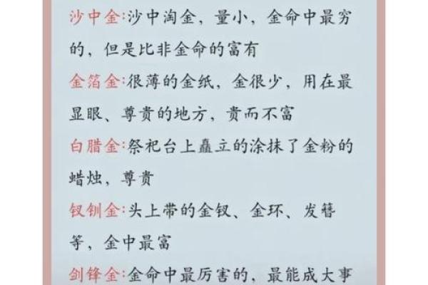 沙中金金命：探秘命理中的财富与机遇