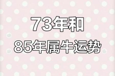 属牛1985年命运解析：努力与坚持的象征