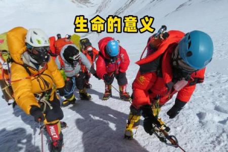 什么是你的命：温柔解析生命的意义与价值