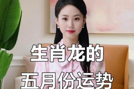 属龙鼠出洞，运势如何解析？探寻命理与生肖的深层关系！